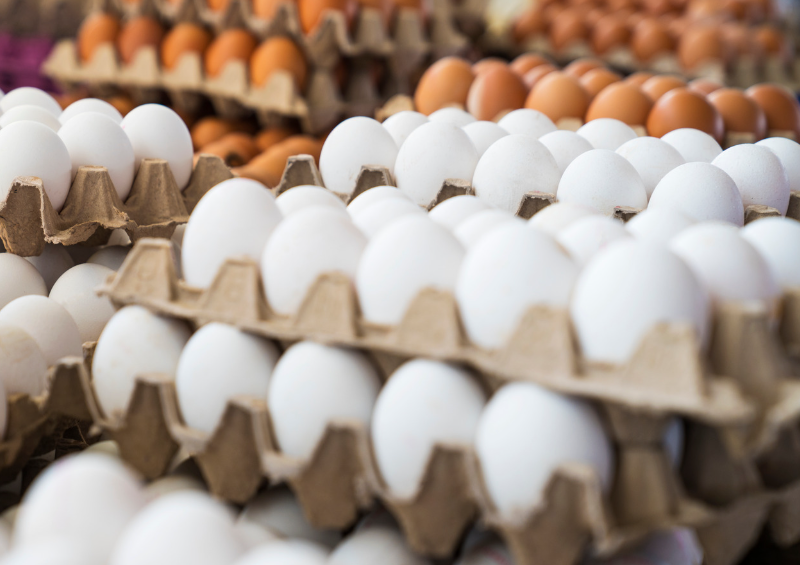 Eggs